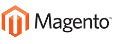 Magento Developer