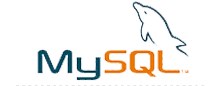 Mysql Developer